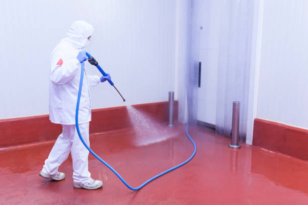 Best Warehouse Cleaning  in Onalaska, TX